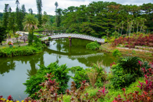 【挙式プラン】東南植物楽園で挙式とロケーションフォトを楽しもう♪